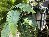 Review Image by Lyndon Lyndon