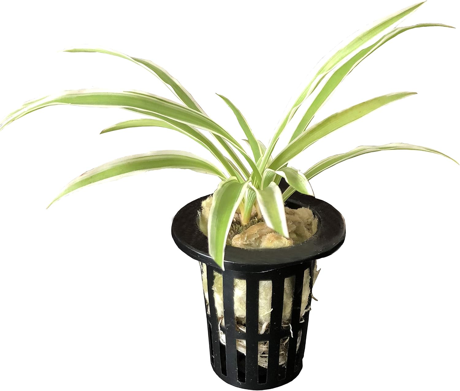 40 Packs 2 Inches Garden Slotted Mesh Net Cups, Heavy Duty Net Pots ,Wide Lip Bucket Basket for Hydroponics