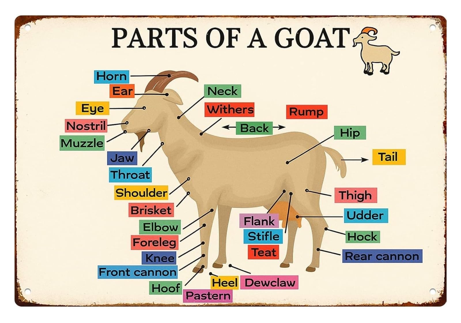 NWPNLXEA Farmhouse Style Goat Anatomy Metal Sign Educational Wall Decor for Barn Ranch Country Kitchen 8 X 12 in