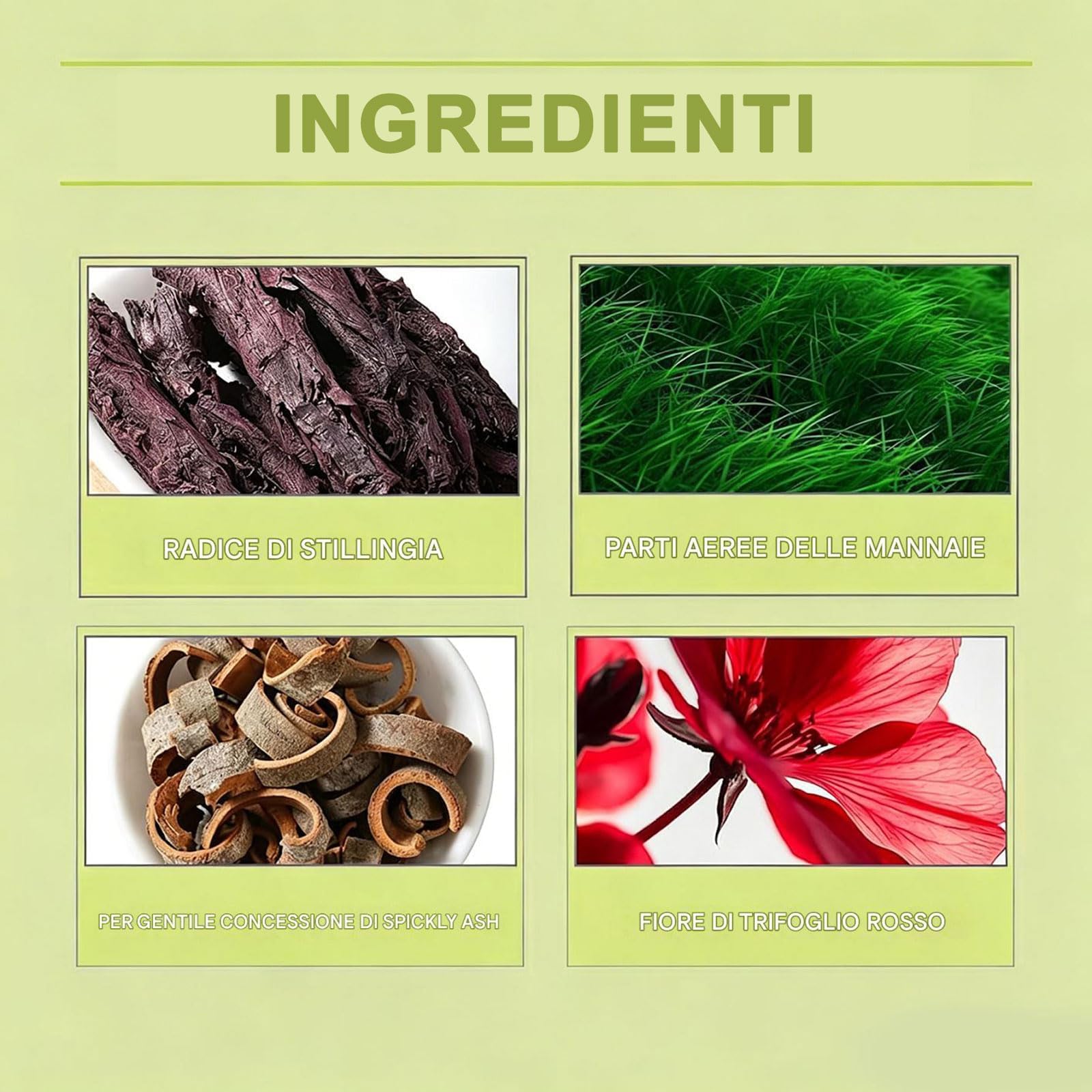 Linea Drenaggio Linfatico,Antidotti Drenanti Linfatici in Gocce,Formula Liquida ad Assorbimento Rapido,Componenti Naturali,Adatti per Uomini e Donne,Integratore per il Benessere Quotidiano (3PC)