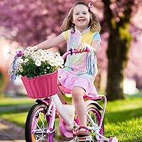 Vista 4 de EIRONA Bike Basket for 12-16 Kids Bicycle, Balance Bike, Tricycle,Scooter with DIY Decal