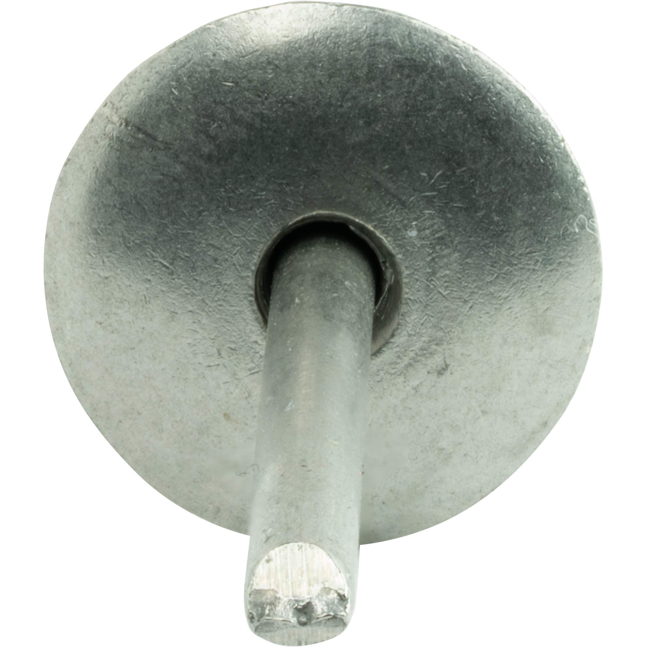 Amazon.co.jp: Fastenere ラージフランジポップリベット ステンレス