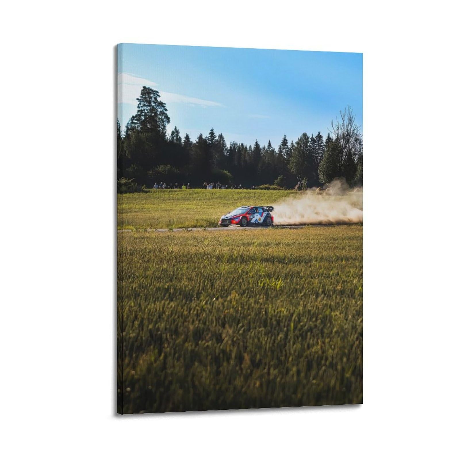 OKAHYS Rally Racing Sports Car Poster Decorative Painting Canvas Wall Artworks Picture 20x30inch(50x75cm)