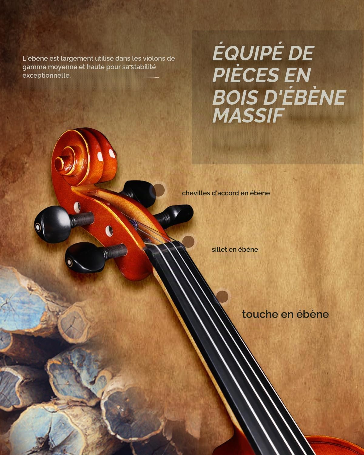 Violon 4/4 en bois massif pour adultes et enfants à partir de 12 ans – Kit professionnel avec 12 accessoires (épicéa et érable)