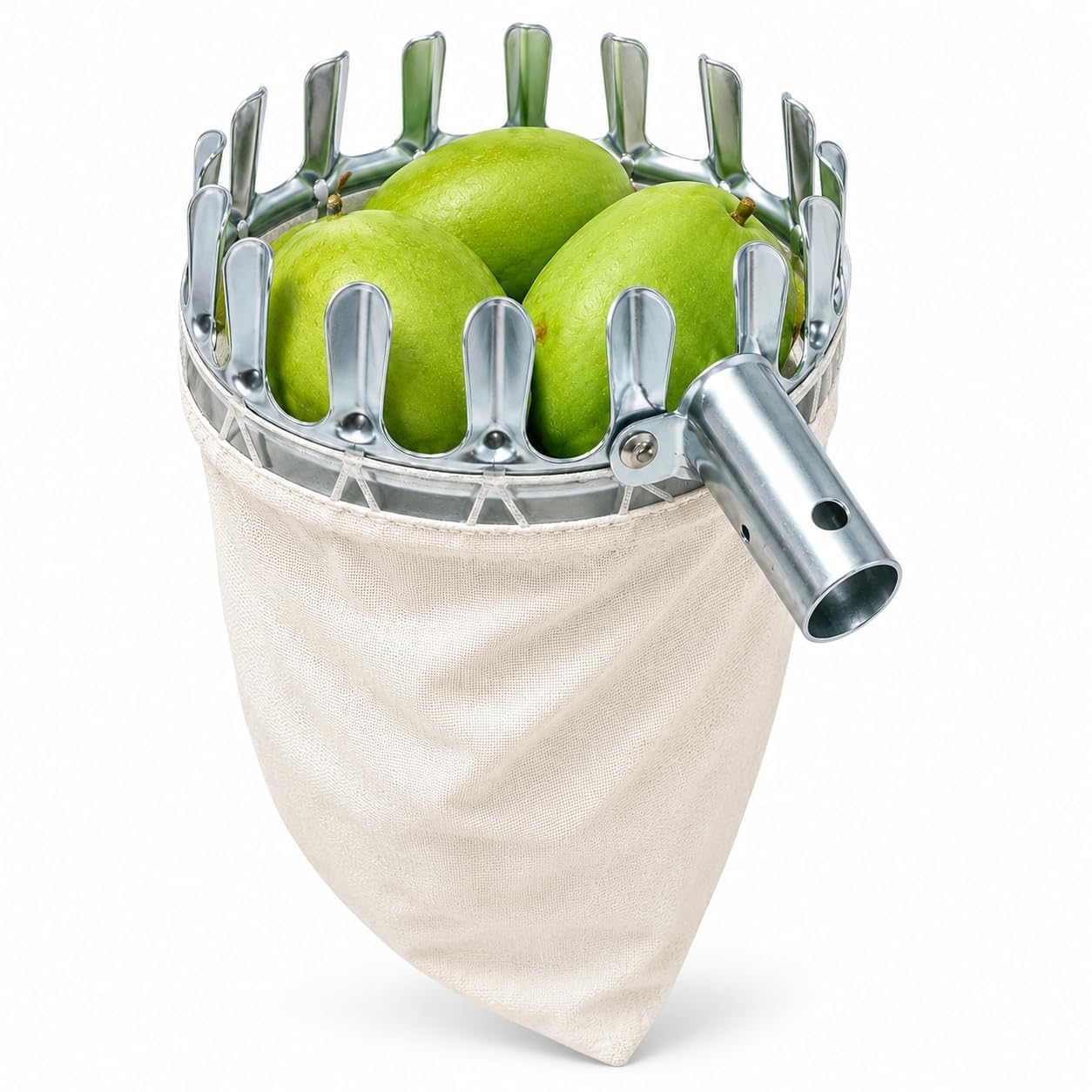 Fruit Picker Head with Collection Bag for Tree Harvesting | 16cm Wide Zinc-Plated Fruit Plucker Basket | Thotti | Mango Picker Tool for Apple, Guava, Orange, Sapota & Pear-image-6