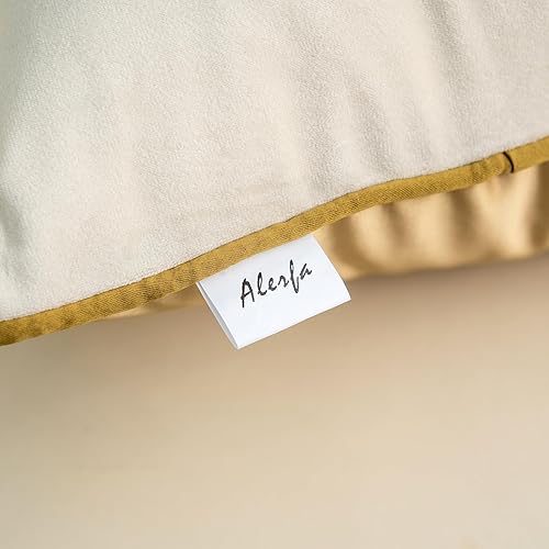 Miniatura 7 de Alerfa Funda de cojín de terciopelo de 20.0 x 20.0 pulgadas