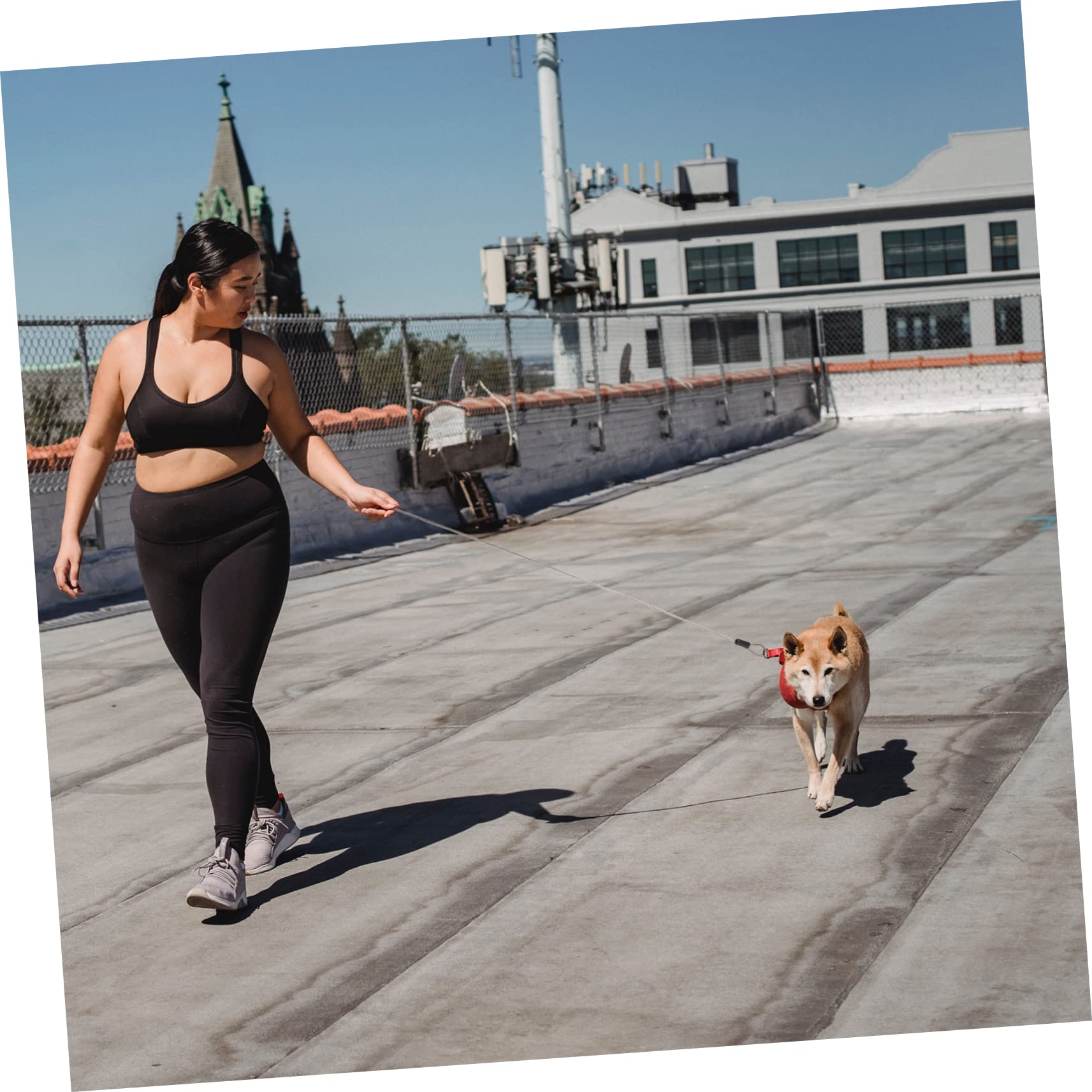 SOLUSTRE Outdoor Stainless Steel Ropes 4pcs Lanyard Cables Multi-Purpose Hanging Wires Dog Walking Rope Silver 3mm*1m