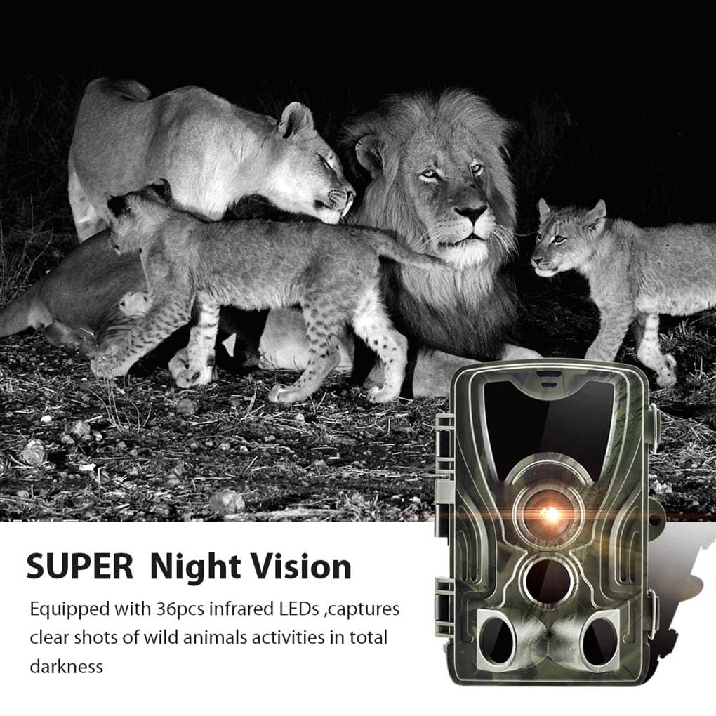 Caméra de chasse 2 pouces détection de mouvement étanche professionnelle 36 LED 20MP caméras de photographie d'animaux sauvages
