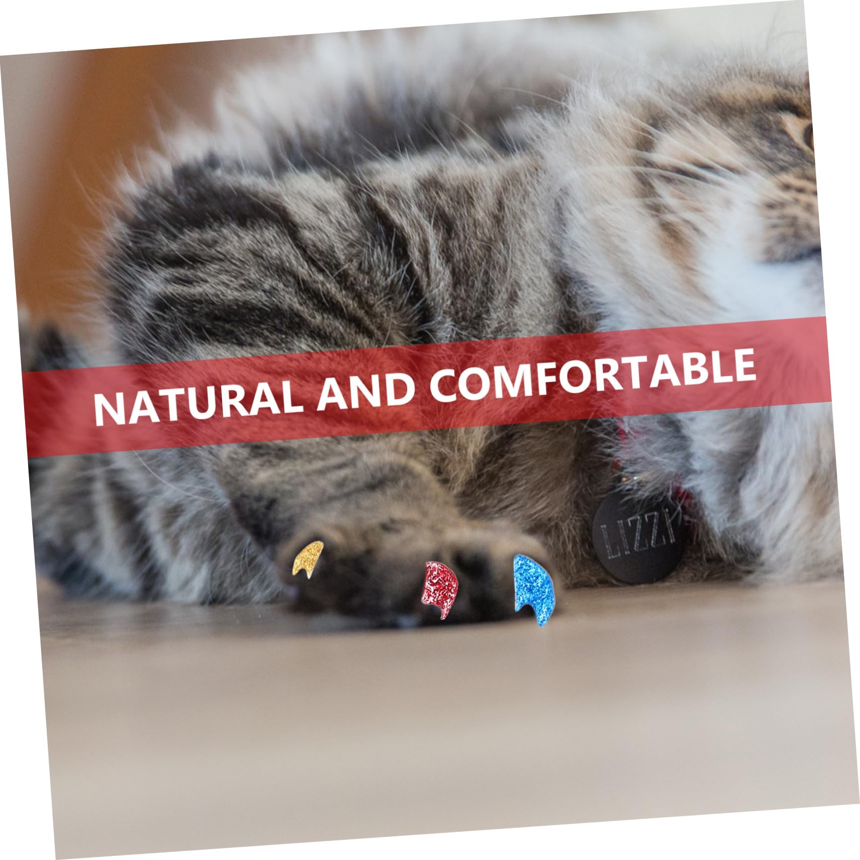 BESPORTBLE 320 Pièces Ensemble d'ongles pour Animaux de Compagnie Couvre-Ongles pour Chat protège-Ongles en Vinyle pour Chats Capsules Ongles Animal de Compagnie Casquette Griffe de Chat