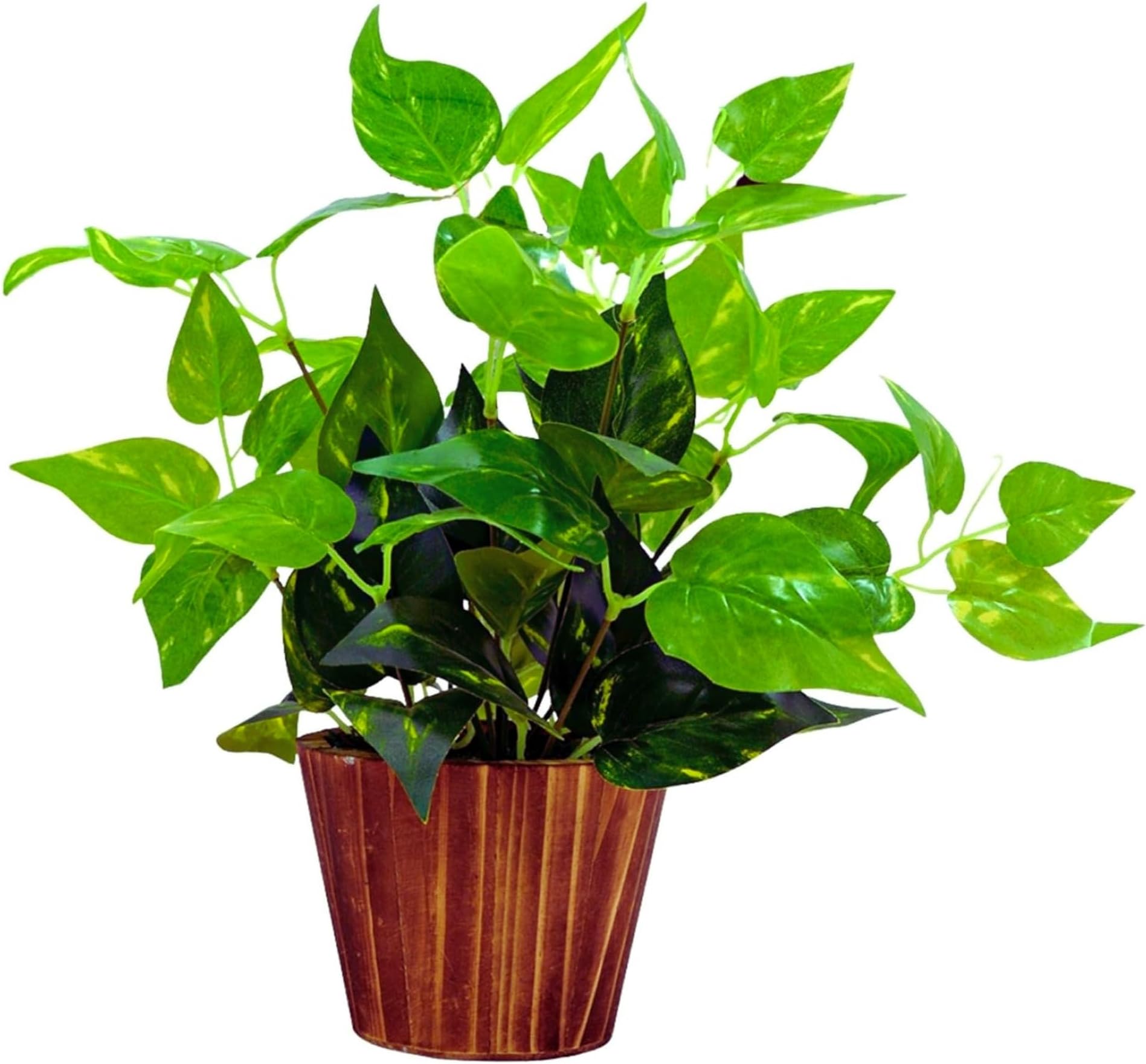 fancymart Artificial Money Plant Leaves in Wood Pot Pefect Decoration for Home & Office Space
