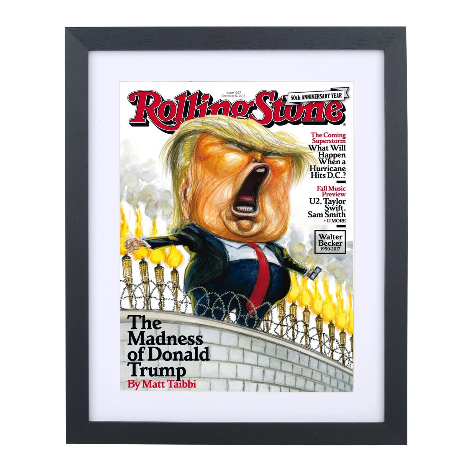 Mxtallup 8x10.75 Magazine Frame for the Wall,Displays Magazines Measuring 8 by 10 3/4-inches with White Mat (Measure Your Magazine)(Z81075W)