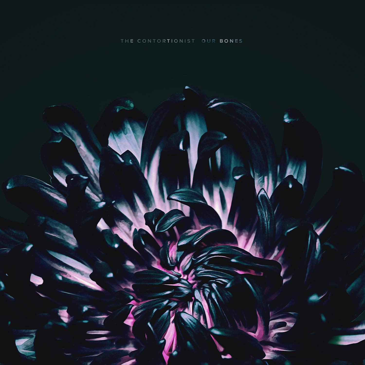 The Contortionist - Our Bones CD Album - Used