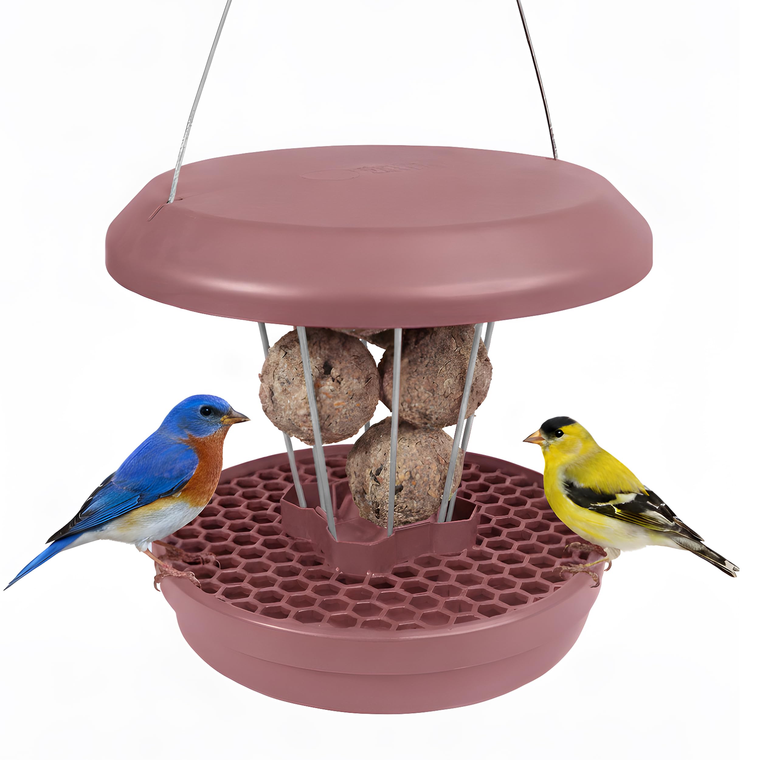 Bird Feeders Hanging Station - Lucerne- Smart Bird Feeder - No Mess Bird Seed - Fat Balls for Wild Birds - Seed Tray - Gardening Gifts - Bird Watching Gifts - Bird Table - Robin Food โ image 1