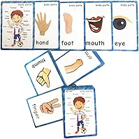 Vista 4 de SANTSUN Juego de tarjetas didácticas para niños, tarjetas didácticas de aprendizaje con imágenes y palabras, partes del cuerpo, perforadas con Body