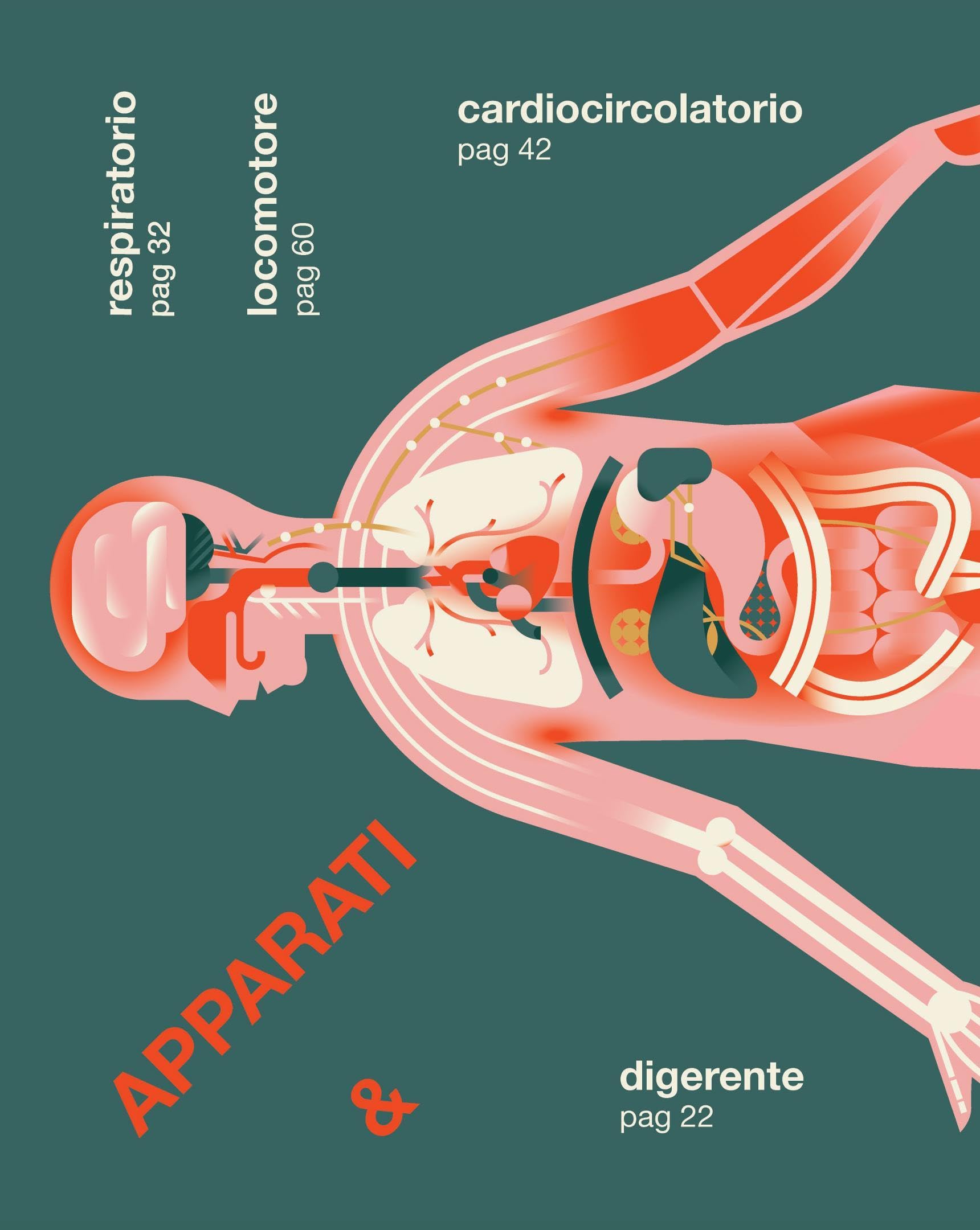 Il corpo è umano. L'anatomia spiegata alle bambine e ai bambini. Ediz. a colori