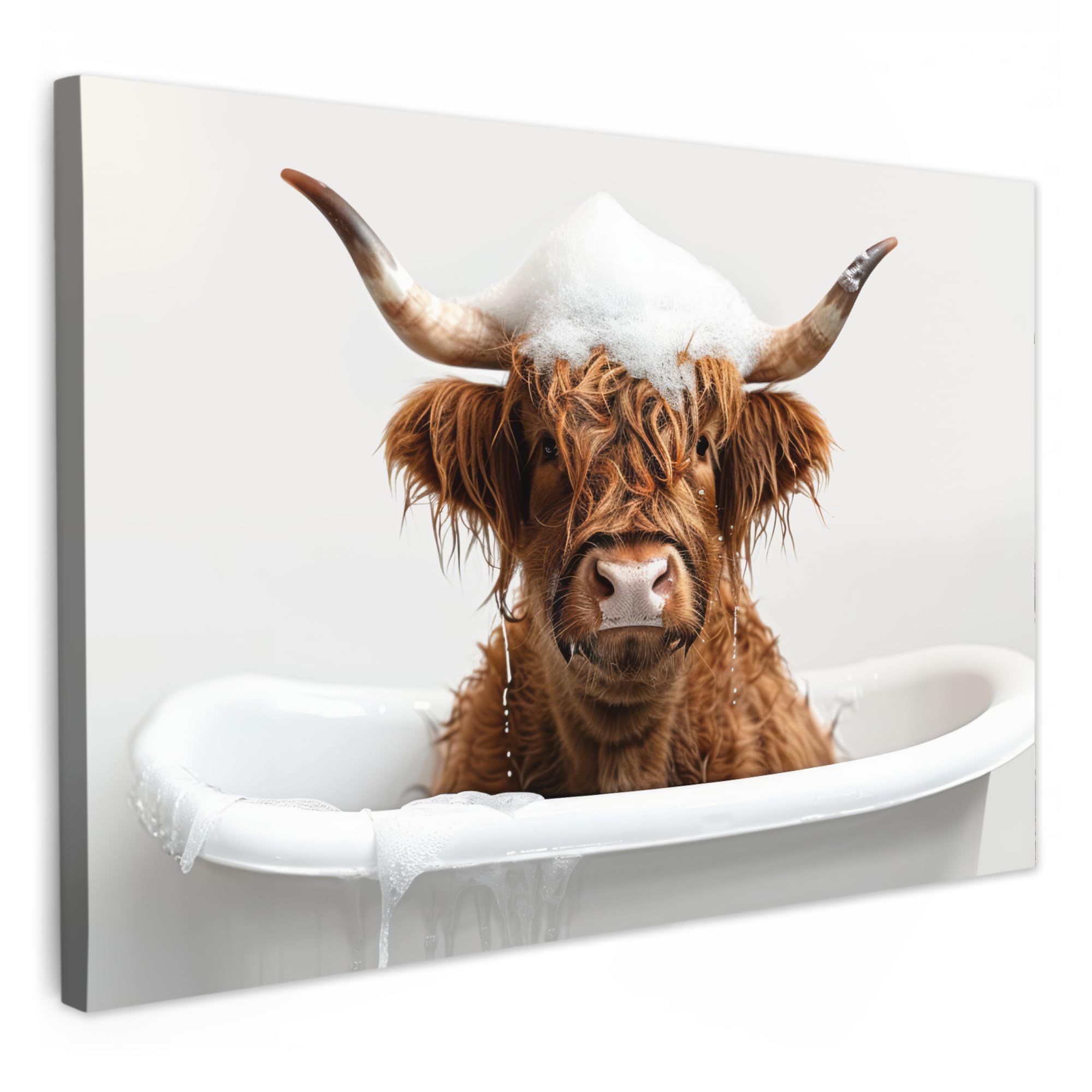 MuchoWow© Canvas Wall Art 90x60 cm Decor Paintings Print framed on Canvas Pictures for Hallway Scottish Highlander - Bath - Cow - Animals