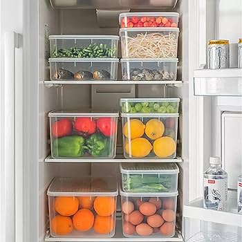 RASタッパー サイズL RASタッパー サイズL 染色用ボックス (容器PMP(TPX)製/蓋:PP製)