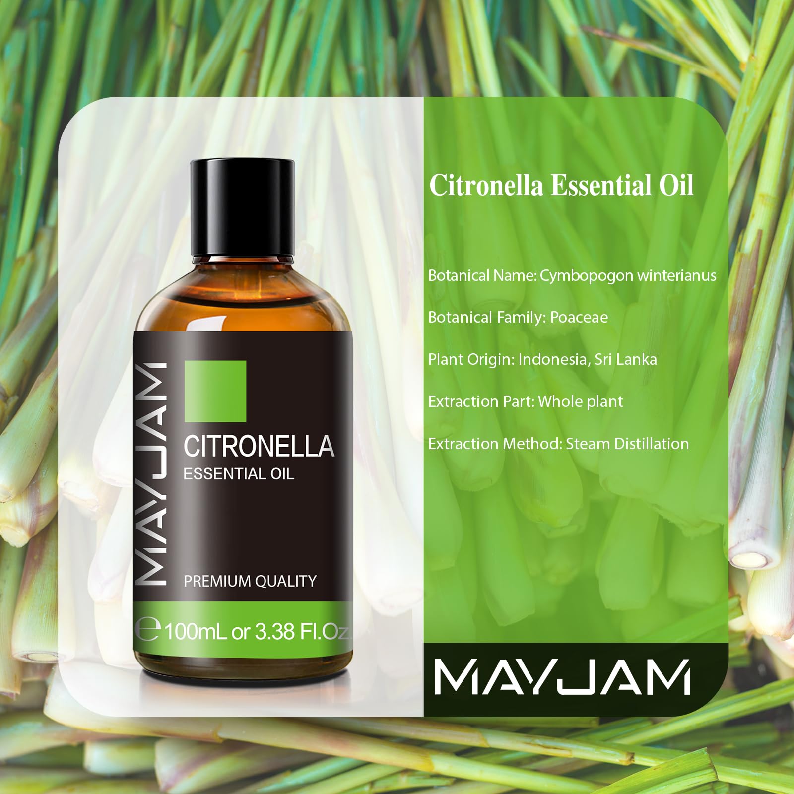 MAYJAM Olio Essenziale Di Citronella-1 100ml, Olio Di Citronella Per Diffusori, Umidificatori, Fai Da Te, Guardaroba