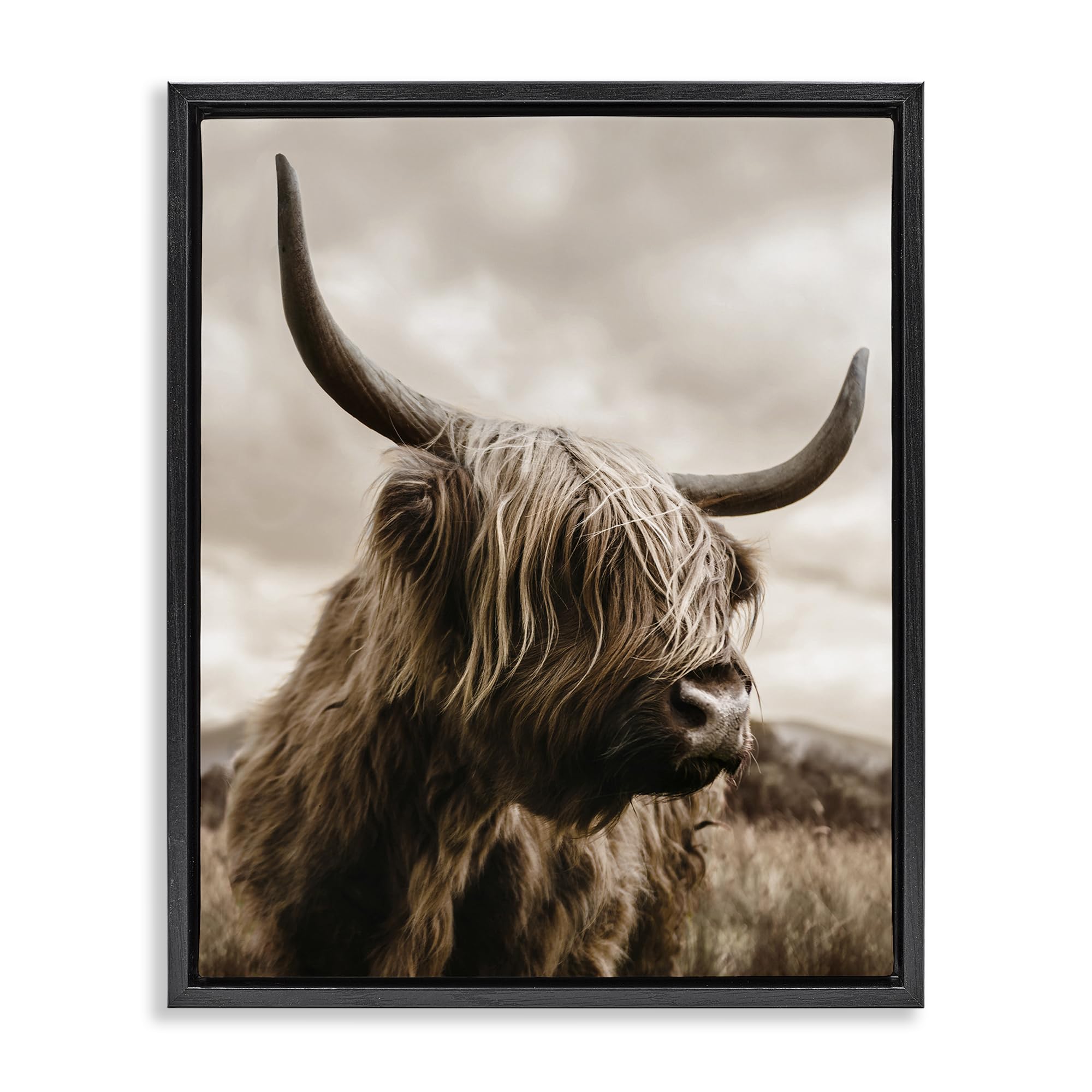 Stupell Industries 'Highland Cow on Windswept Moor', Floating Frame Canvas Art, Black, 25 x 31 Inches, Easy to Hang and Sturdy, Made in USA, by CAD Designs