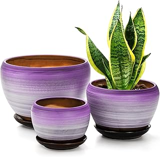 SOUJOY Set of 3 Ceramic Flower Pots, Gardening Plant Pot with Drainage H...