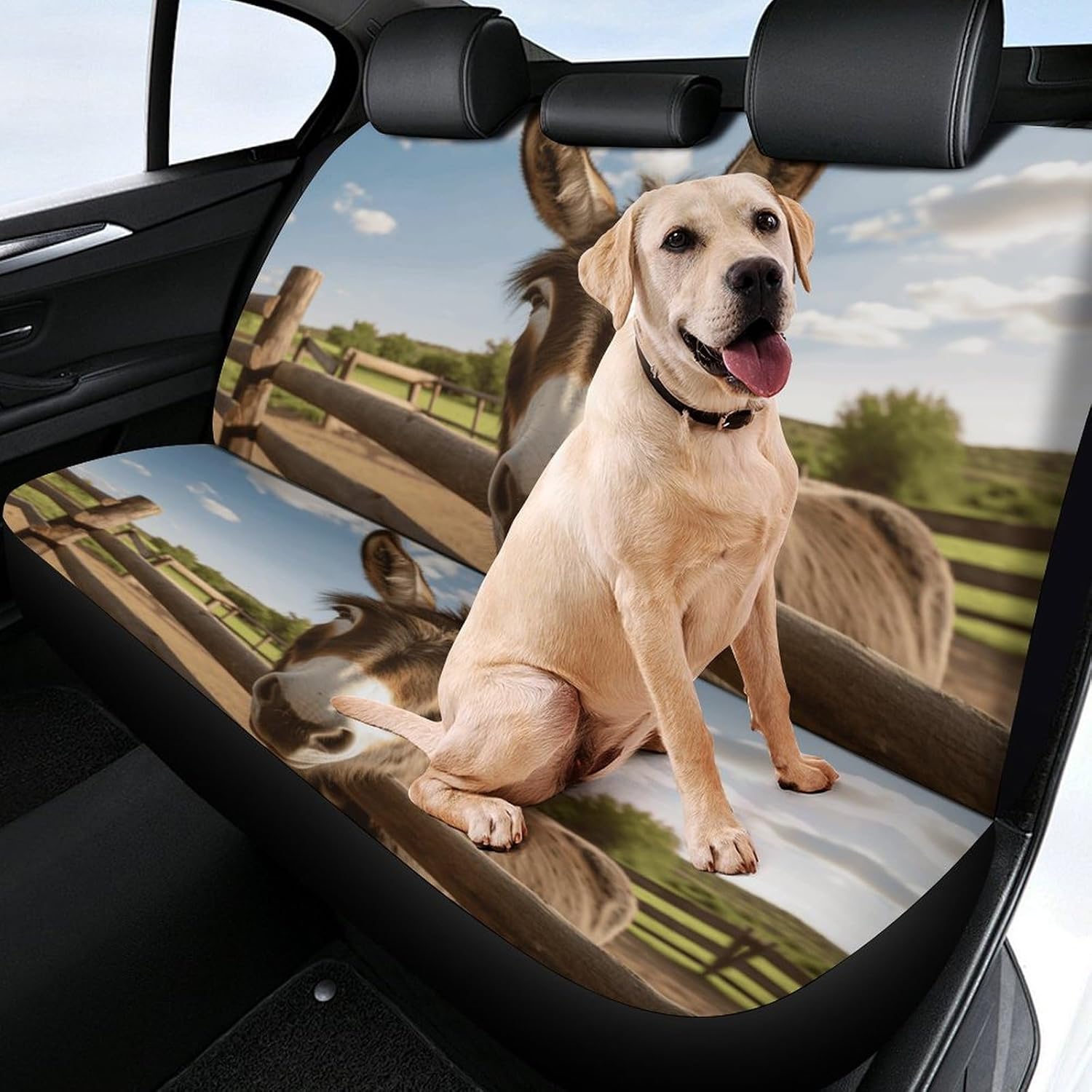 Car Rear Bench Seat Cover Funny Donkey Car Seat Cover Back Seat for Car Backseat Cover Protector Universal Fit Most Car Truck Vans SUVs Sedan 2 Pcs
