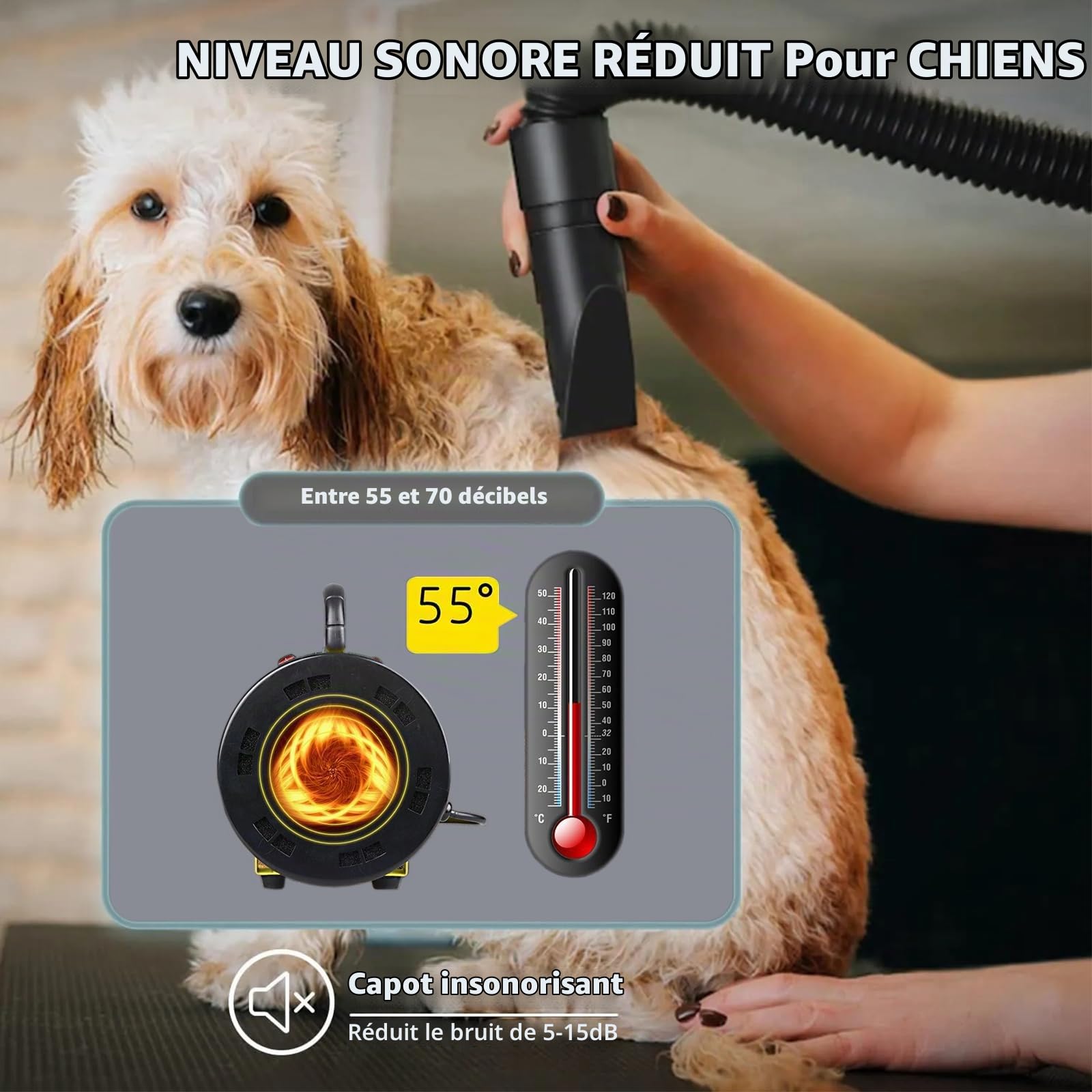 Pulseur pour Chien 2800W - Séchoir Professionnel pour Animaux avec Température Réglable et 4 Buses (Jaune)
