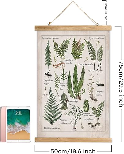 Miniatura 308 de XIAOAIKA Póster de botánica vintage con marco de madera, tabla de plantas venenosas antiguas, arte educativo botánico con especies peligrosas, 1