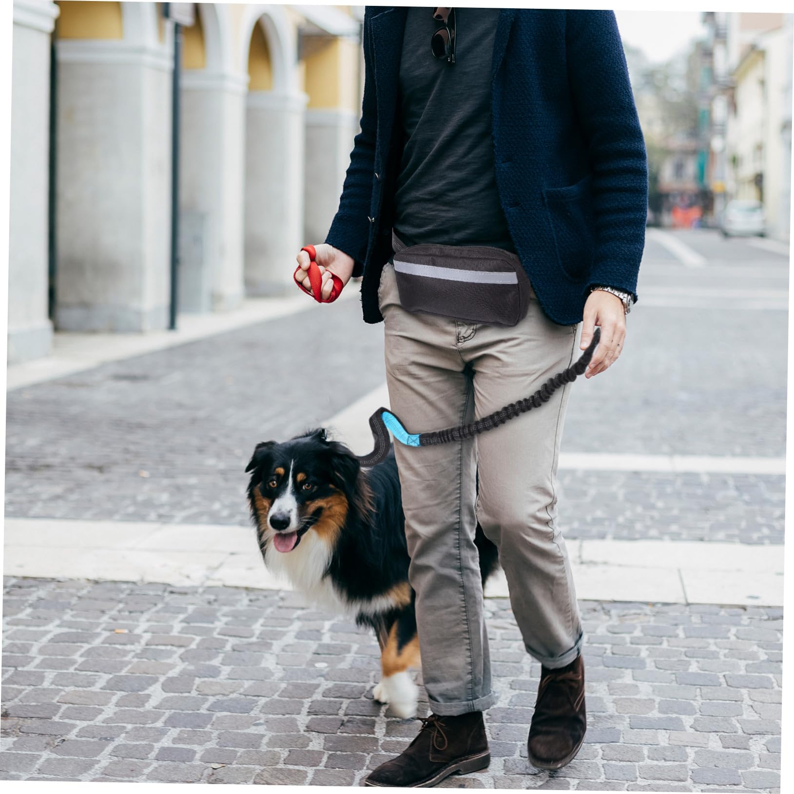 Guinzaglio da Corsa per Cani Riflettente Elastico, in Poliestere | Borsa in Vita, Nero, Design Multifunzione, per Passeggiate al Parco e Attività All'aperto