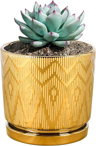 Ton Sin Macetas plateadas, macetas para suculentas de 5.5 pulgadas con drenaje, macetas redondas de cerámica para interiores con platillo, macetas