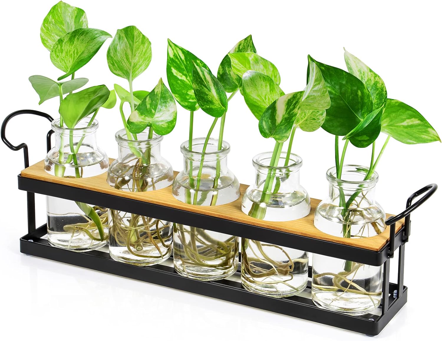 THYGIFTREE Desktop Plant Propagation Stations, Tabletop Retro Plant Terrarium for Indoor Hydroponic Plants Flowers, Plant Lover Gifts