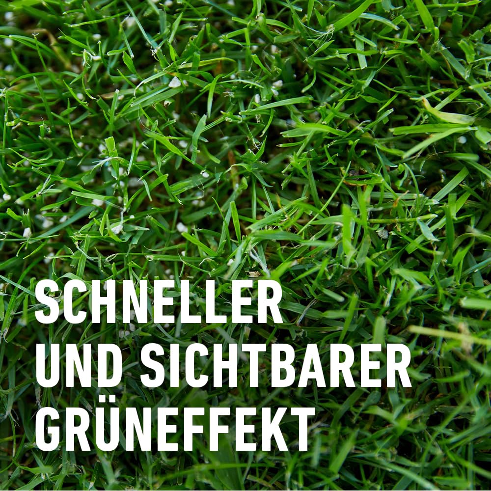 COMPO Rasendünger mit 3 Monaten Langzeitwirkung für Frühjahr und Sommer - tierfreundlich - Premium Rasen-Langzeitdünger - 20 kg für 800 m²,