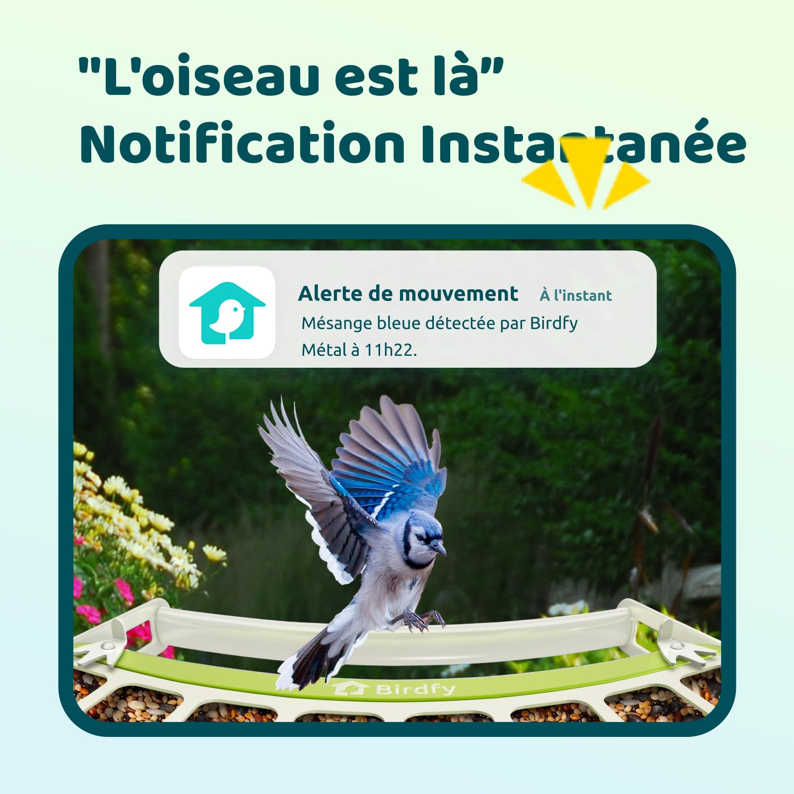 Birdfy Métal Mangeoire Oiseaux Camera pour L’Observation direct, 1080P Solaire Mangeoire Oiseaux Exterieur sans Fil, Vision Nocturne en Couleur, Notification Instantanée, Enregistrement à Chaque Visit