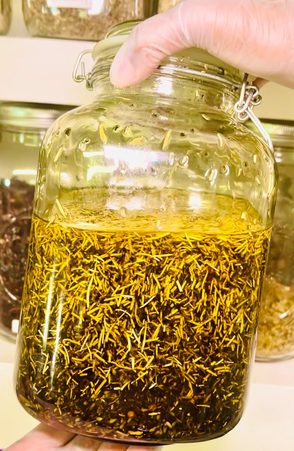 Rosemary Wild Grow Oil - 100% Pure Infused Rosemary, Green Tea, Lavender for Hair Growth With Castor Oil