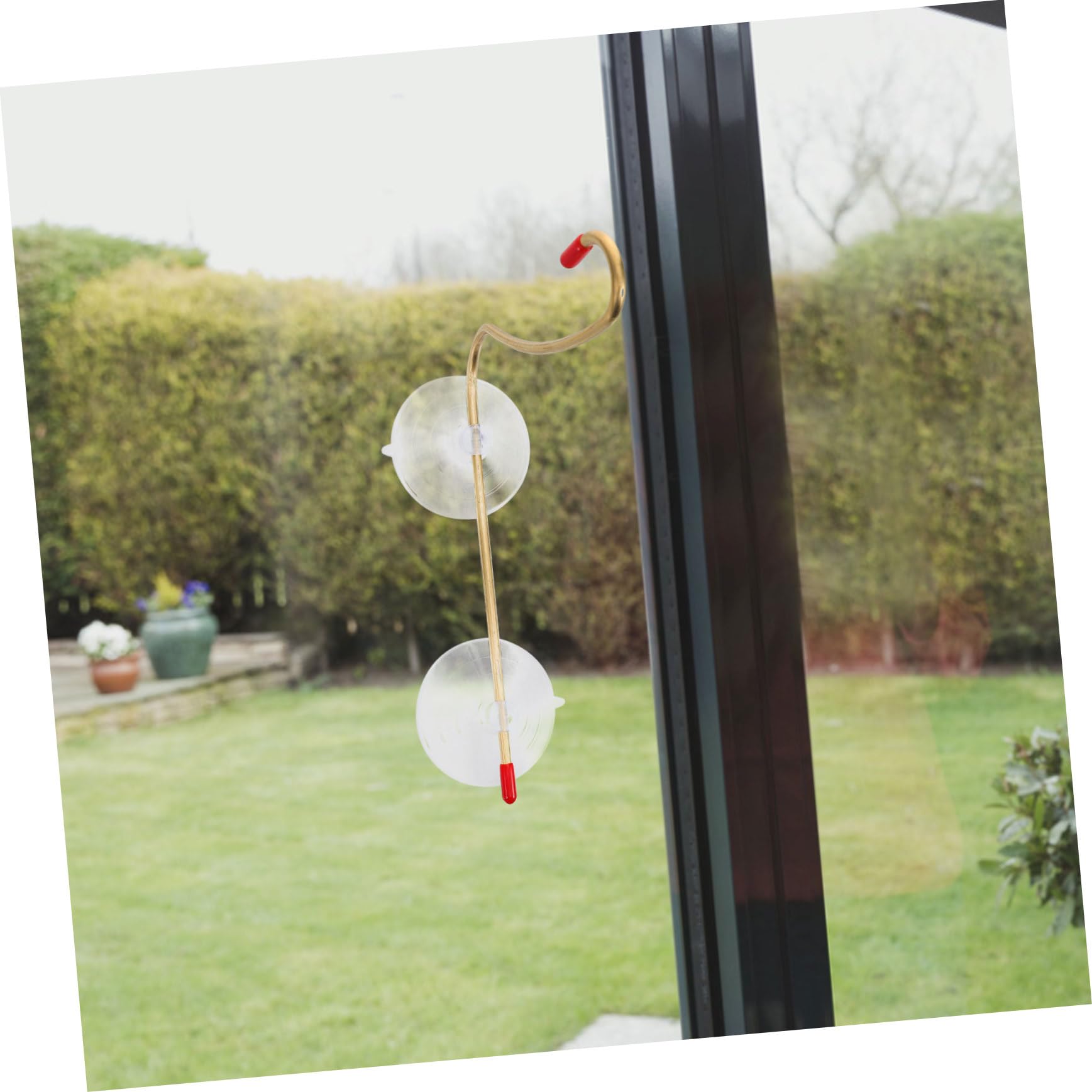 BESPORTBLE 5pezzi Gancio Per Mangiatoia Per Uccelli Con Ventosa Facile Installazione e Design Decorativo Per Alimentatori Da Finestra e Mangiatoie Per Colibrì