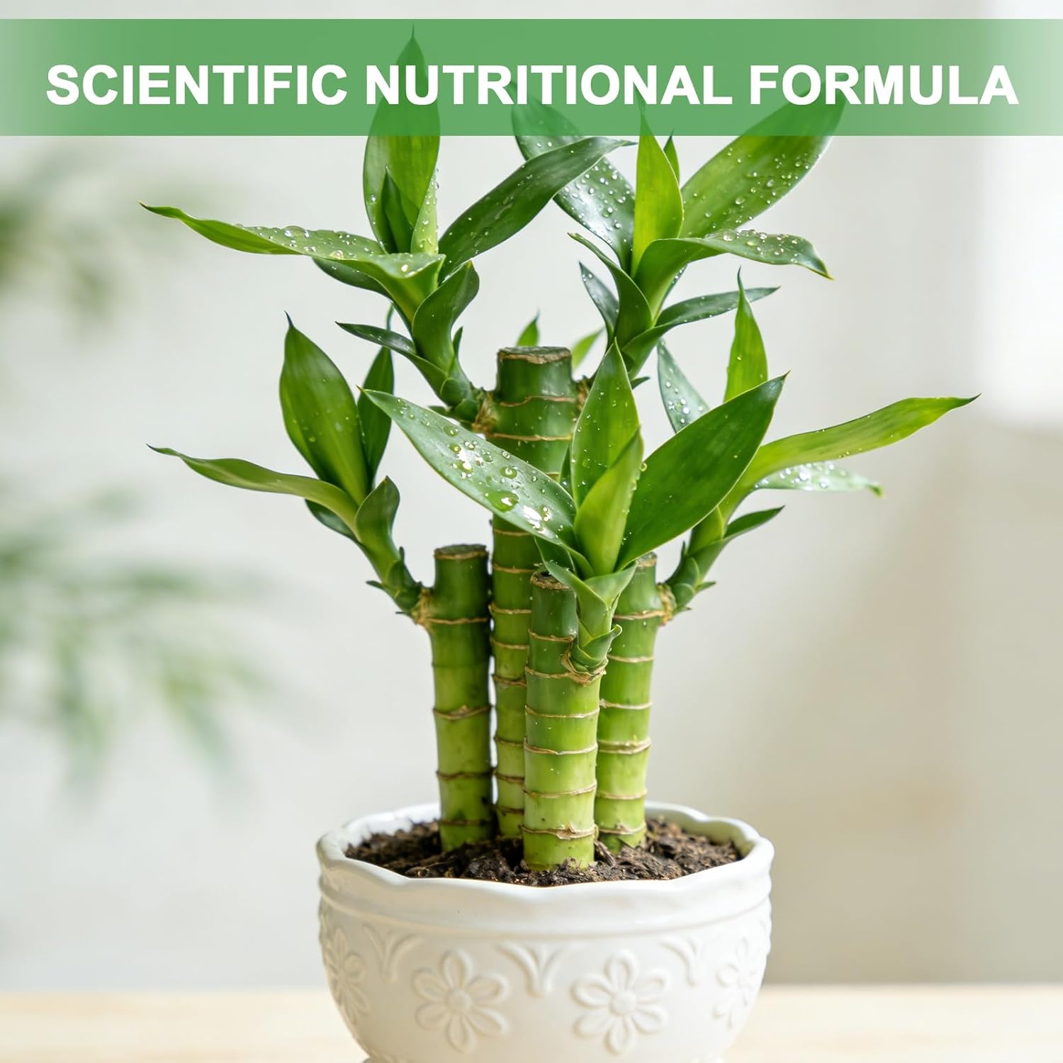 Pure Natural Potting Soil for Lucky Bamboo Plants 10qt- Superior Drainage & Breathability, Ideal Indoor Plant Soil