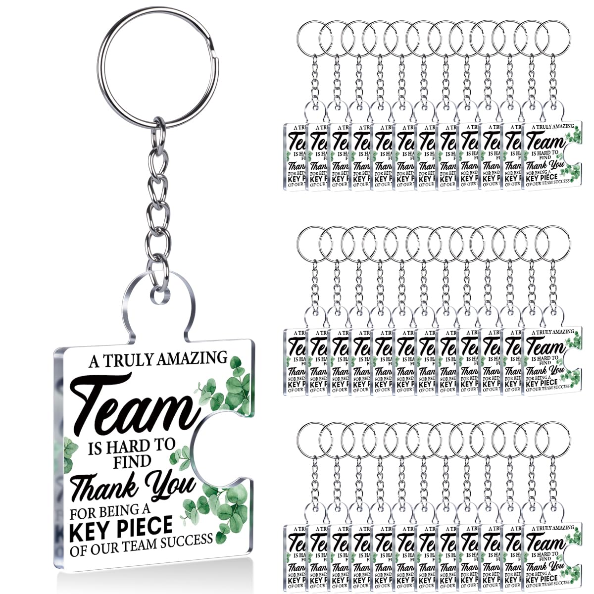 Team Appreciation Gifts Bulk Thank You Keychains for Coworkers