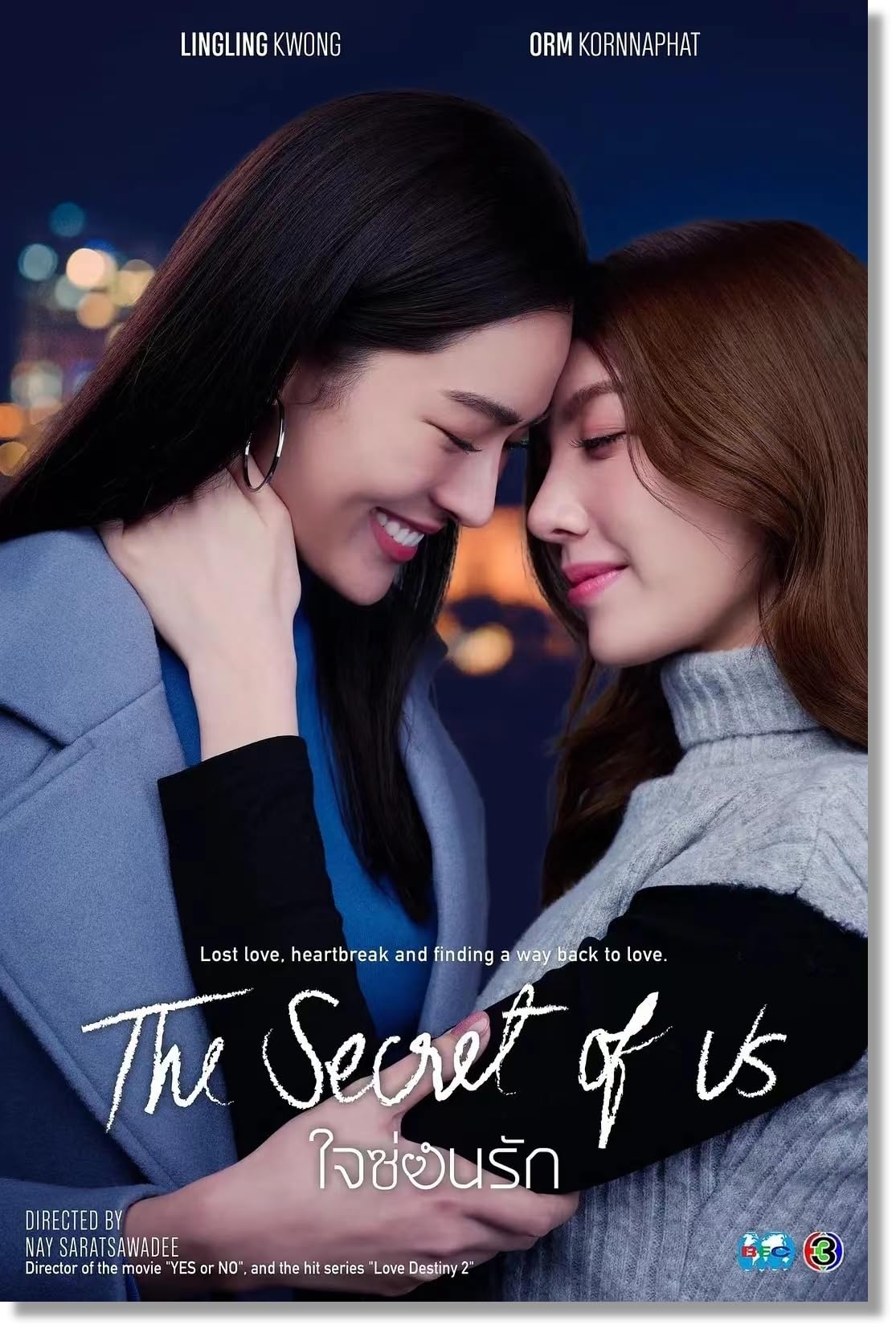 映画ポスターThe Secret of Us The Secret of Us アートポスター