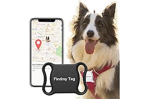 Tractive GPS: Personalized Dog Tracking Device with Unlimited Range