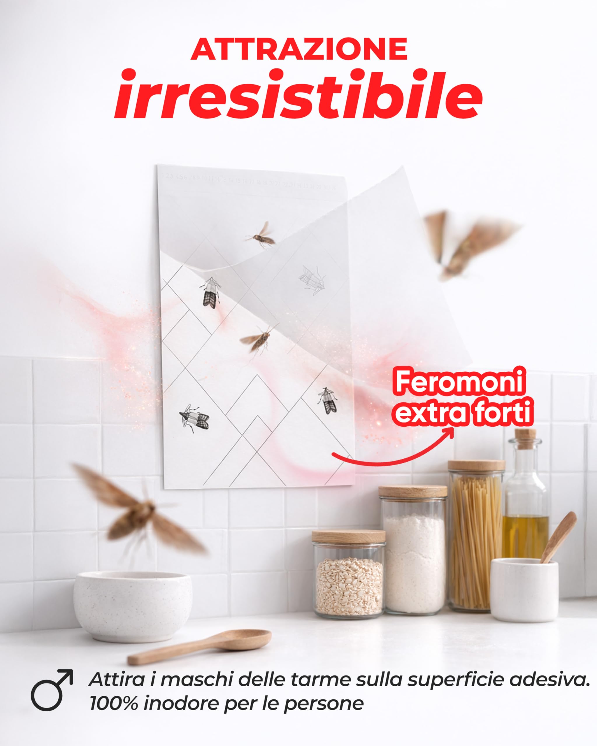 Trappole per Tarme Alimentari 12X con Feromoni – Trappola Antitarme per Dispensa e Cucina