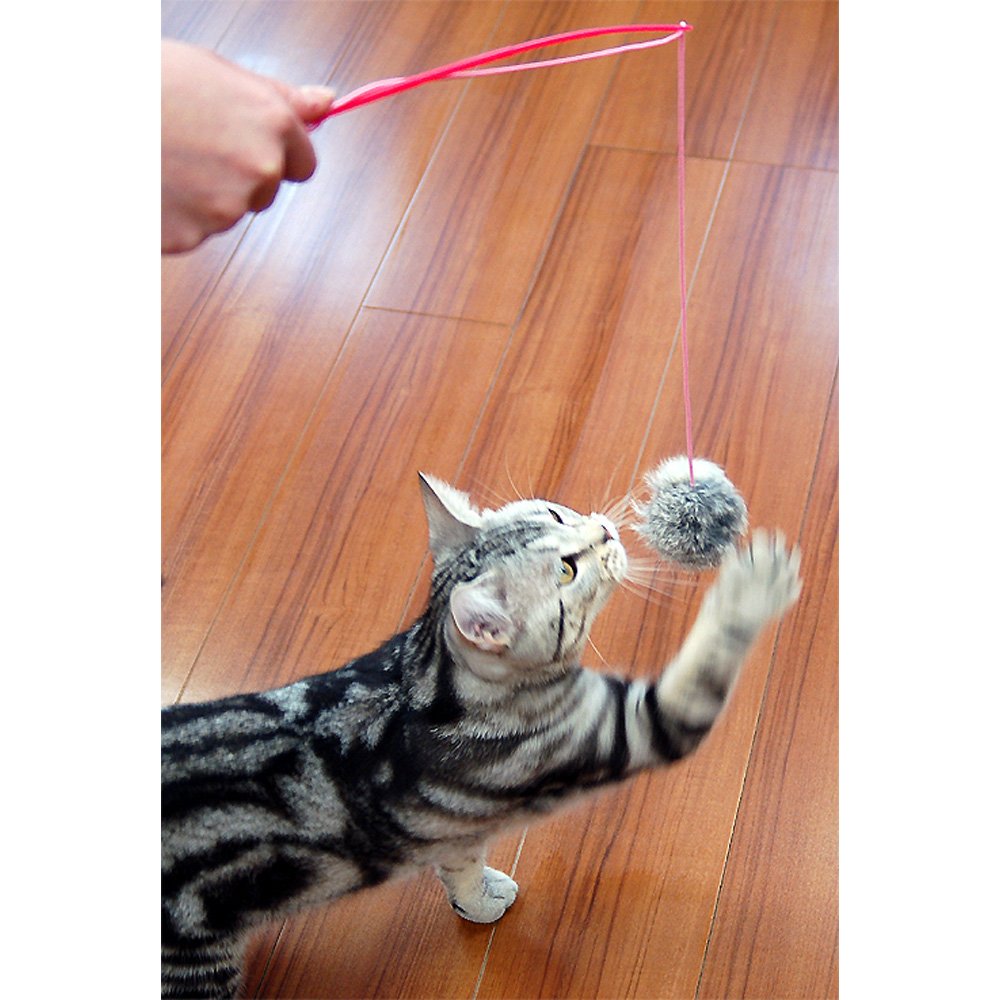 Amazon | キャティーマン (CattyMan) じゃれ猫 ファーファー