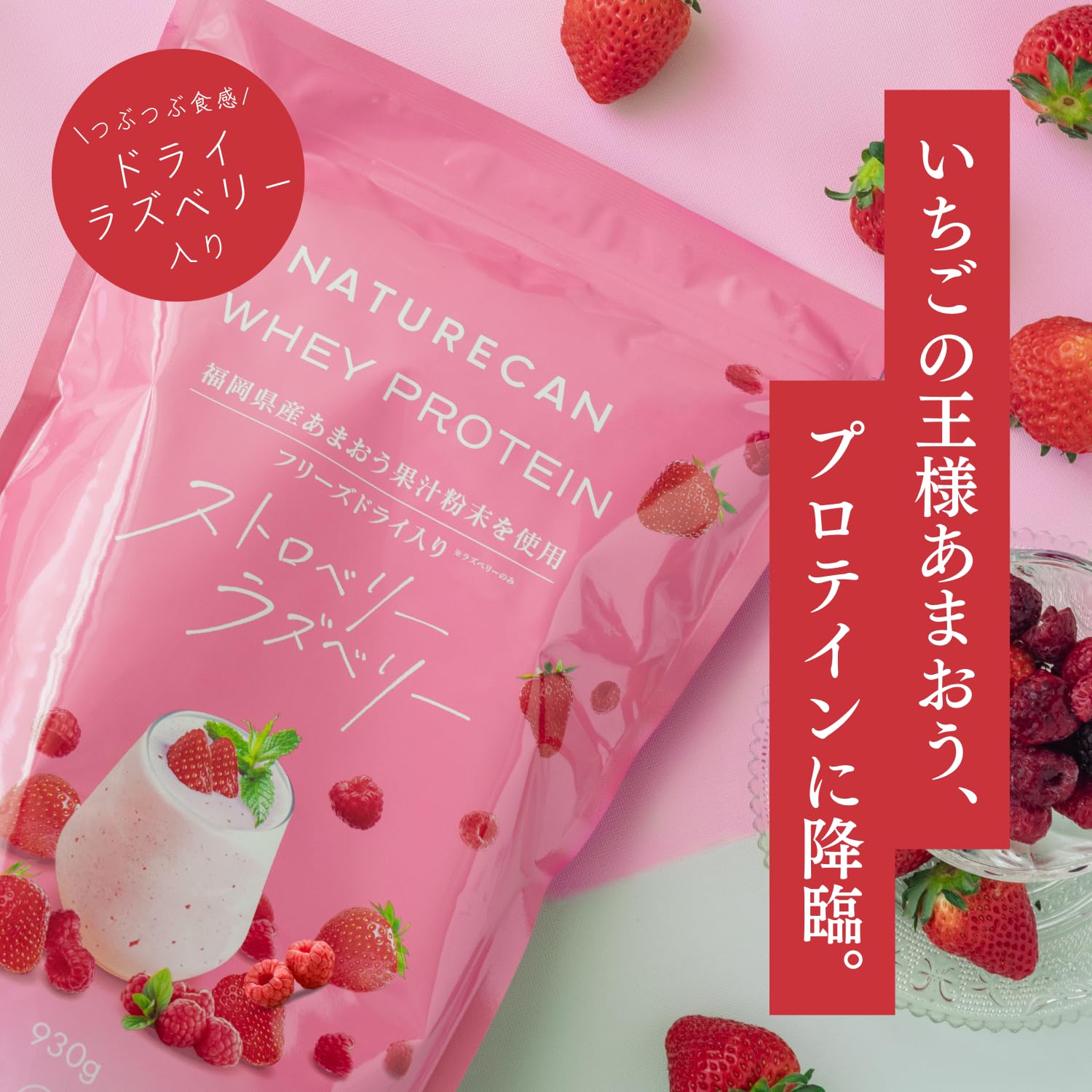 Amazon | Naturecan ネイチャーカン プロテイン 福岡県産あまおう苺 