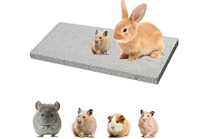 Plus Size Large Rabbit Nail Scratch Pad