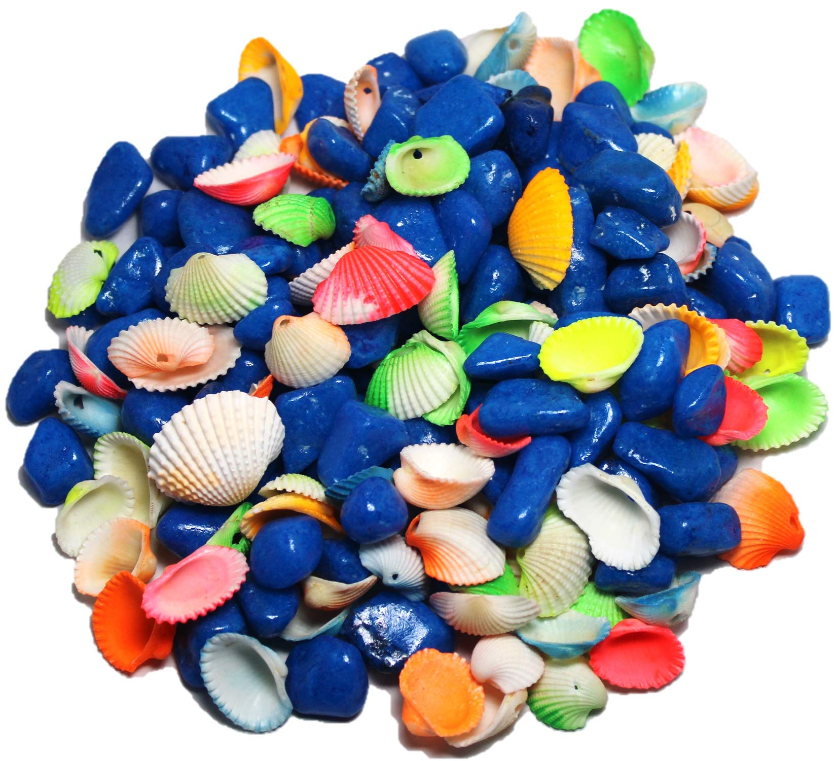 DS1 Blue Pebbles Gravels Stone with Sea Shell for Aquarium, Table, Vase, Fountain, 350 gm (B08XNV9X73) Amazon Price History, Amazon Price Tracker