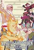 NARUTO-ナルト- 疾風伝 ナルトとサスケの章 2 [DVD] Amazon.co.jp: NARUTO-ナルト- 疾風伝 ナルトとサスケの章 2