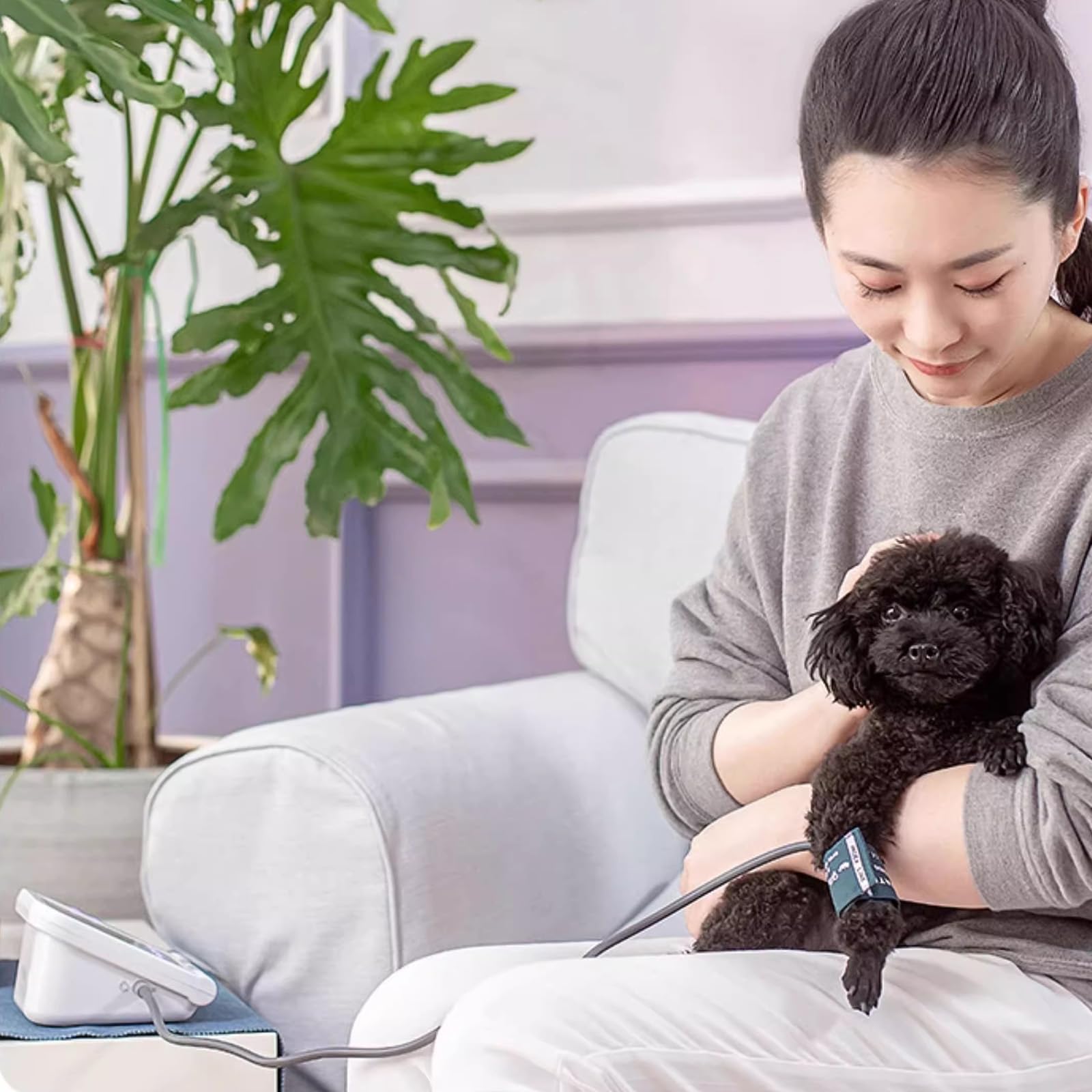 Monitor De Presión Arterial para Perros Y Gatos, Pantalla LCD Digital De 2,8 Pulgadas, Equipo Veterinario, Esfigmomanómetro Electrónico De 3 Modos Y 3 Brazaletes, Memoria para 100 Conjuntos De