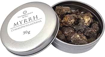 715Ggaqg01L._AC_UF350,