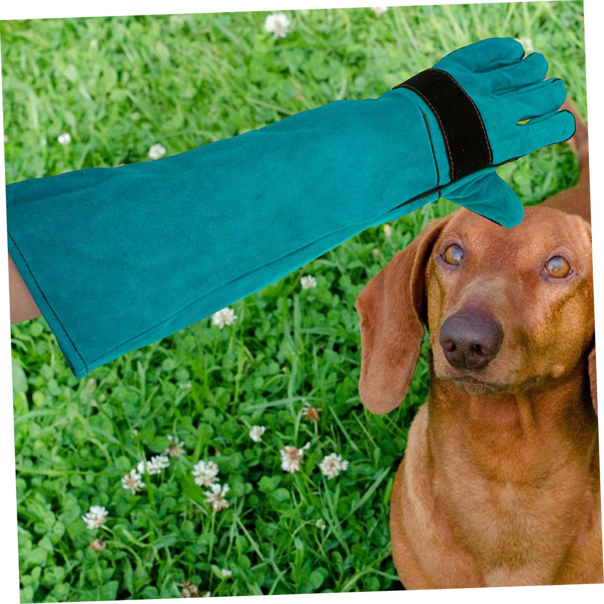 VILLCASE Guantes de Protección para Entrenamiento de Perros y Gatos Manga Larga de Cuero Sintético Resistente Mordeduras para Manipulación y Alimentación de Mascotas Color Azul Talla