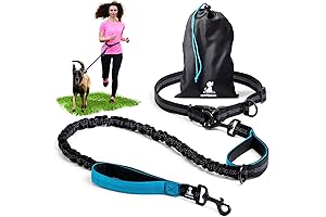 SparklyPets Hands-Free Dog Leash: Ultimate Comfort for Dog Walking, Training, and Jogging