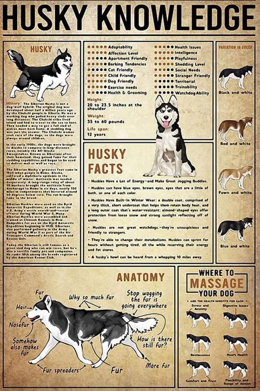 rayprint Husky Facts Canvas Painting Prints Husky Knowledge Wall Art Vintage Frameless Posters For Home Bedroom Living Room Wall Decor 12x16inch