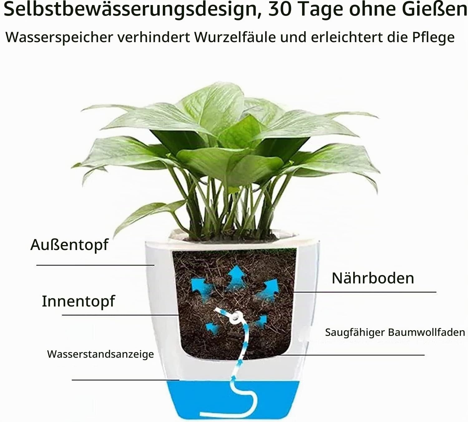 MENAYODA 10er-Set Kunststoff Blumentopf mit Bewässerungssystem, Selbstbewässerung Blumentöpfen mit Ablaufloch und Wasserstandsanzeiger für Innen- und Außenbereich